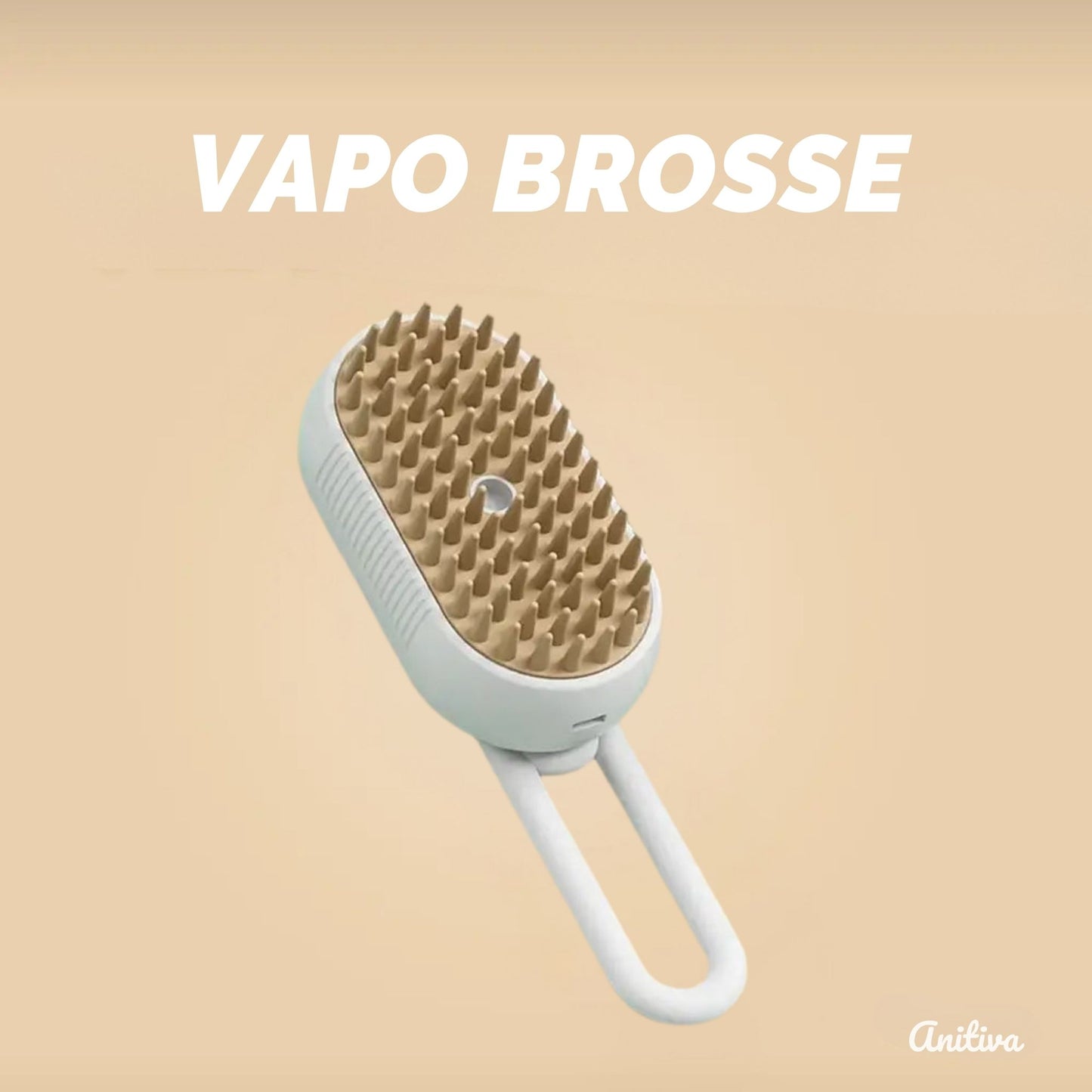 VAPO BROSSE