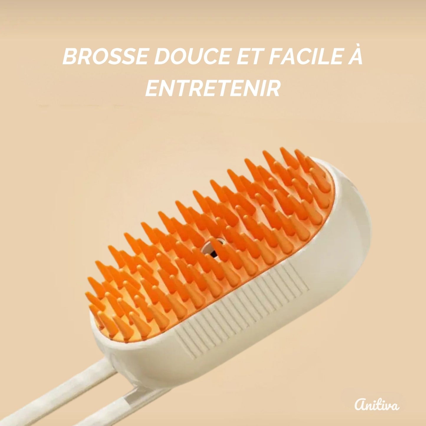 VAPO BROSSE