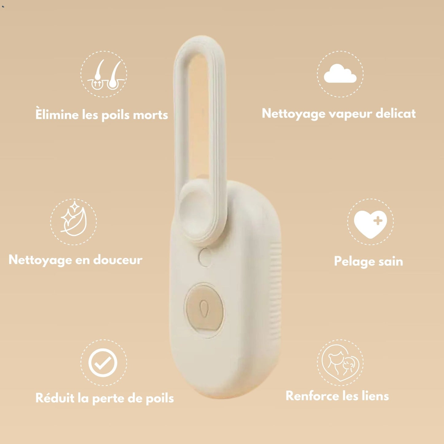 VAPO BROSSE