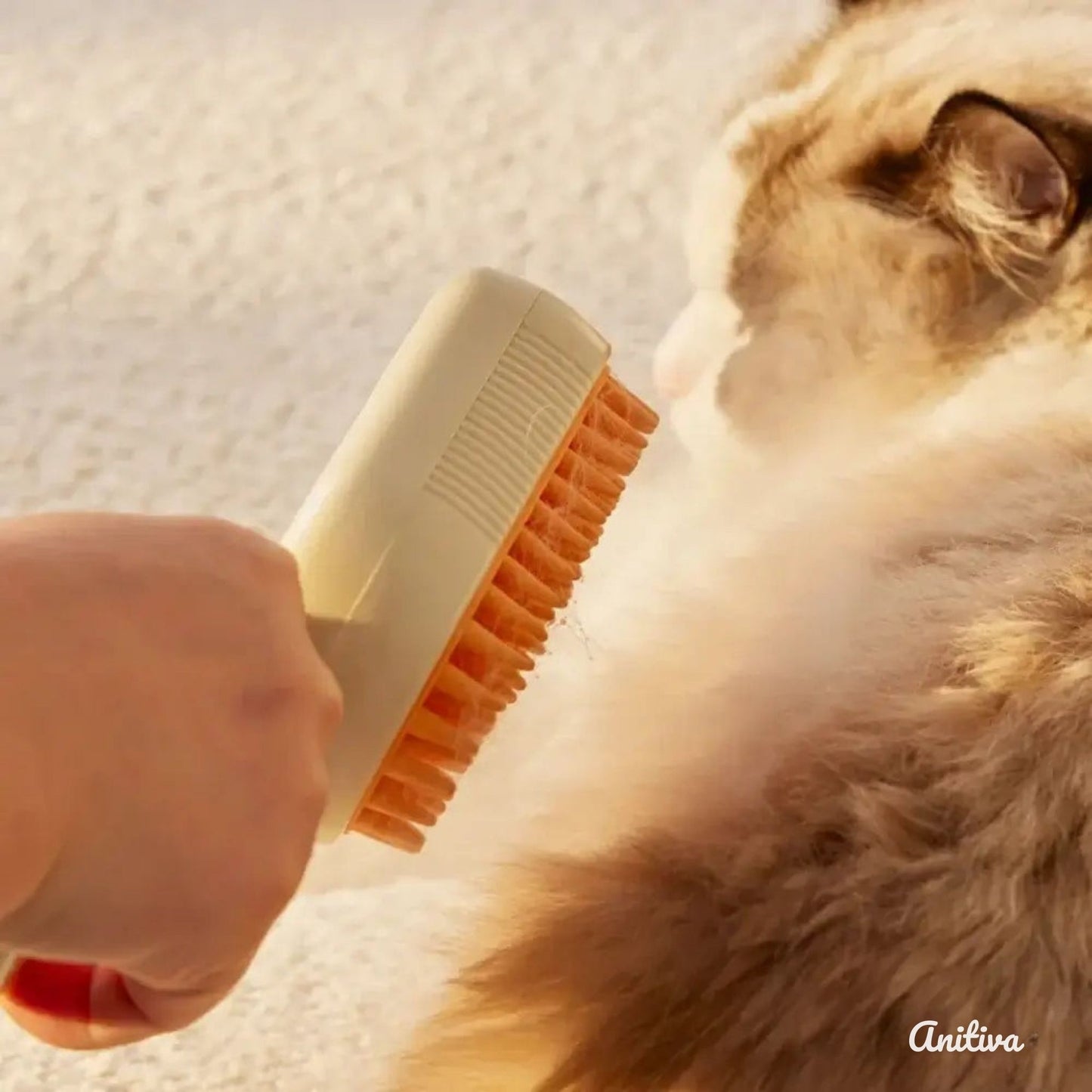 VAPO BROSSE
