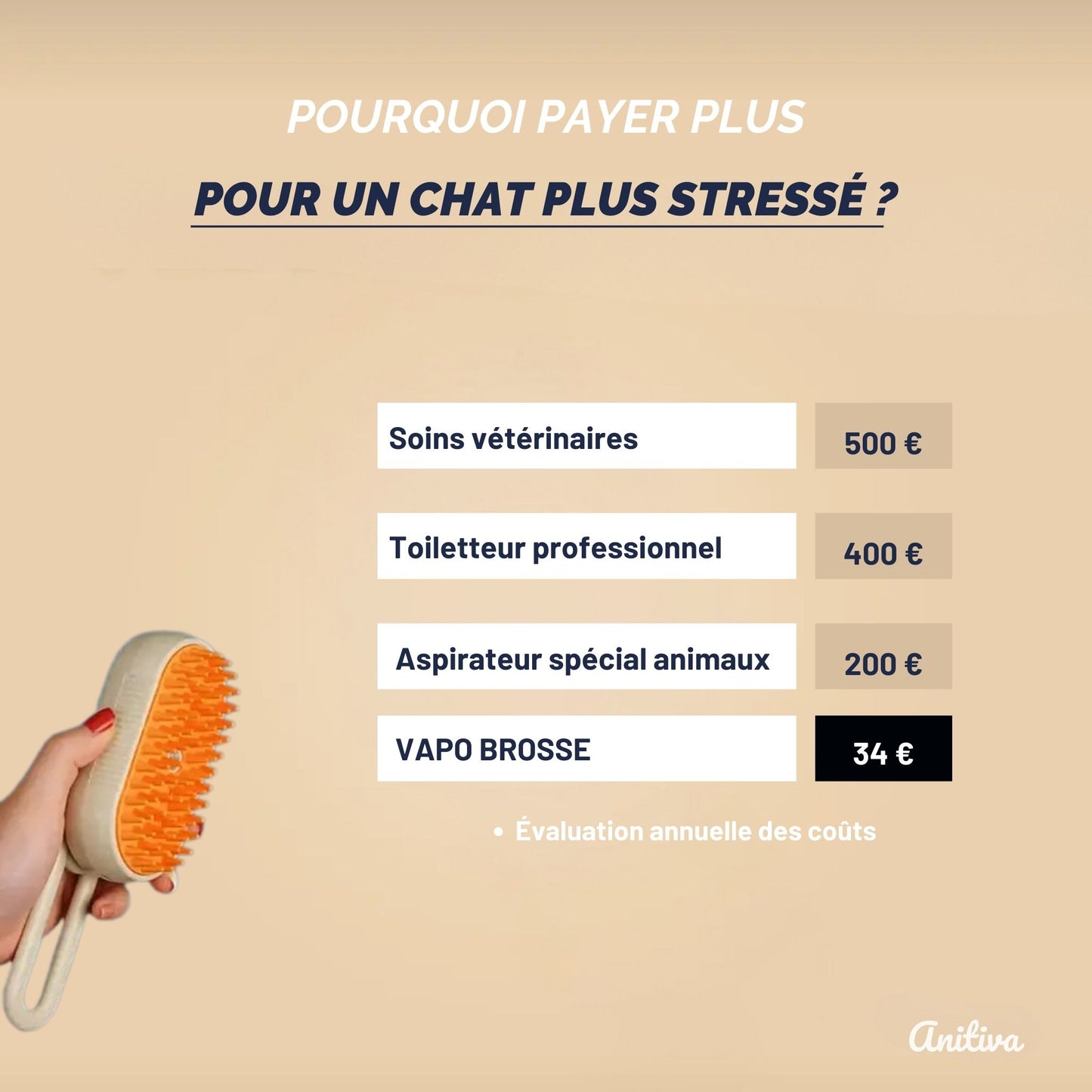 VAPO BROSSE