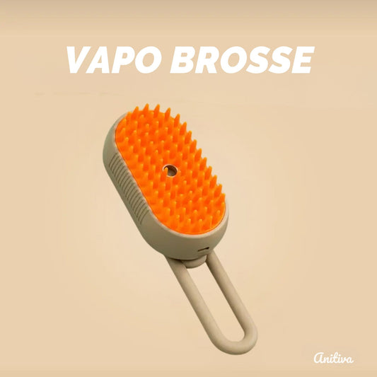 VAPO BROSSE